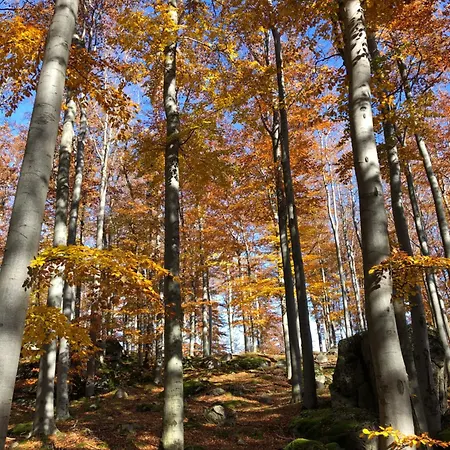 Grudza83 Bikepoint *