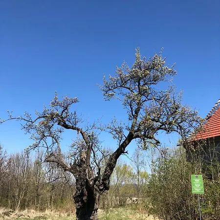 Grudza83 Bikepoint * Mirsk