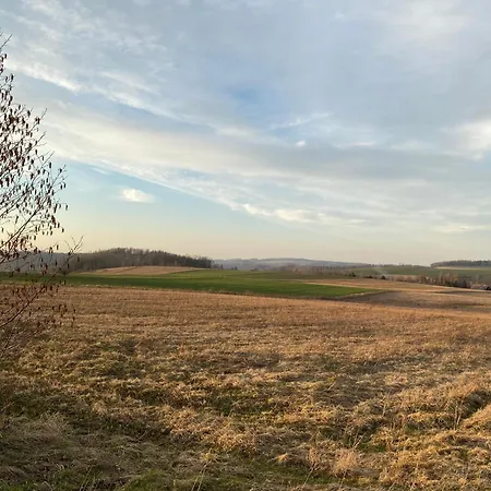 Grudza83 Bikepoint Mirsk