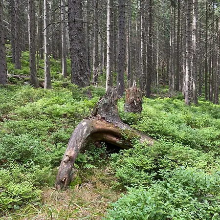 Grudza83 Bikepoint Gospodarstwo agroturystyczne *