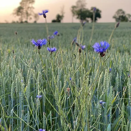 Farm stay Grudza83 Bikepoint *