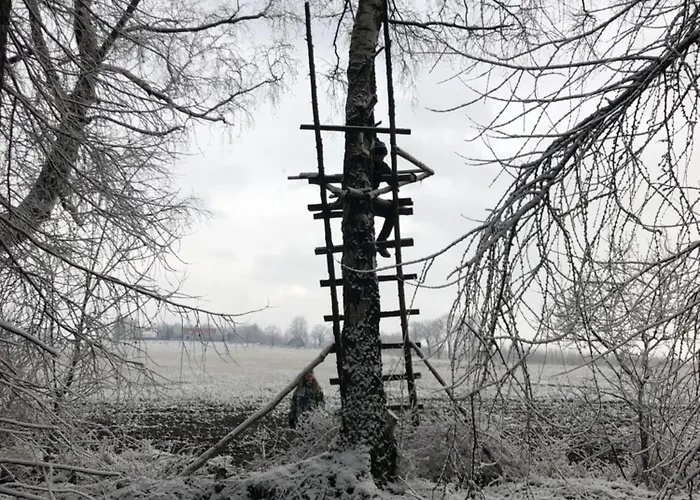 Grudza83 Bikepoint 农家乐 Mirsk