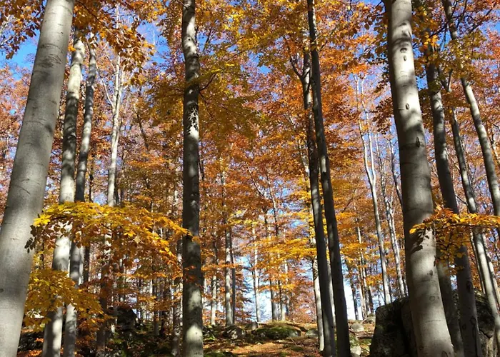 Grudza83 Bikepoint *