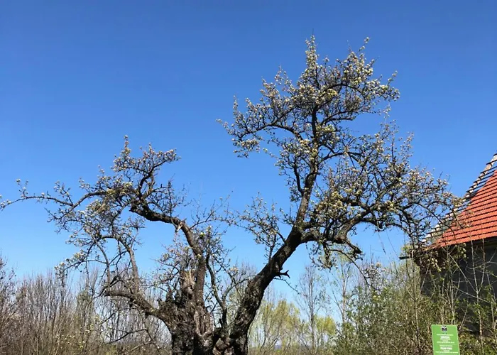 Grudza83 Bikepoint * Mirsk