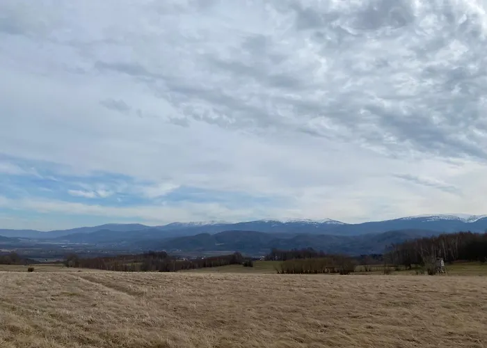 Grudza83 Bikepoint Mirsk