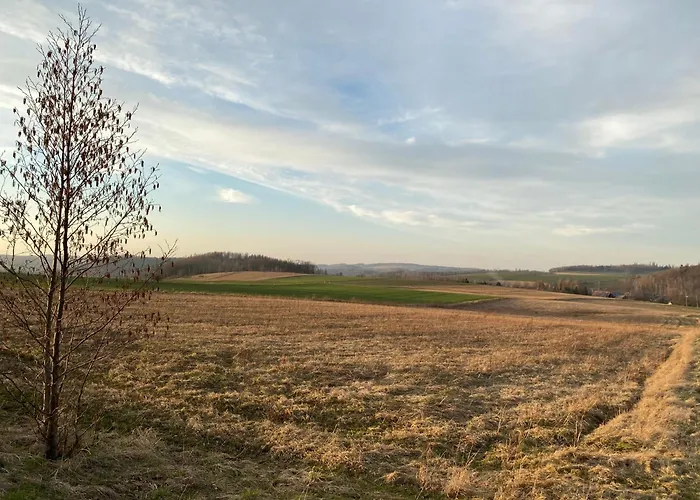 Grudza83 Bikepoint Mirsk