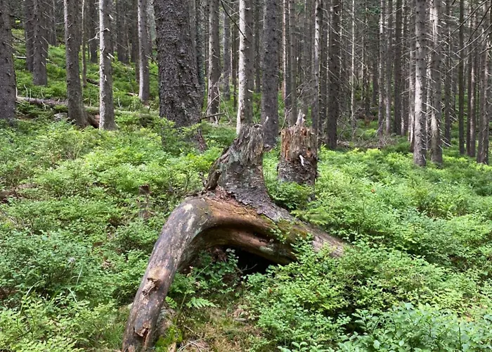 Grudza83 Bikepoint 农家乐 *