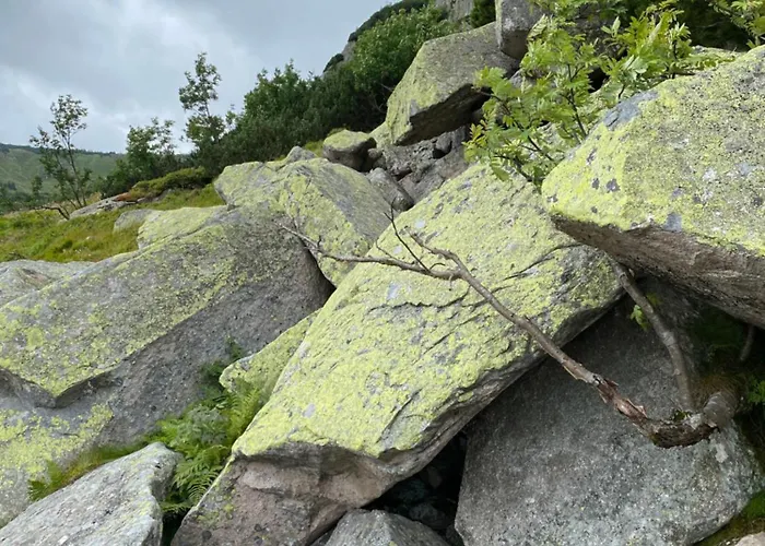 Grudza83 Bikepoint * Mirsk