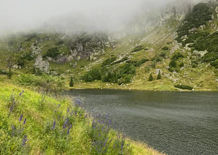 农家乐 Grudza83 Bikepoint