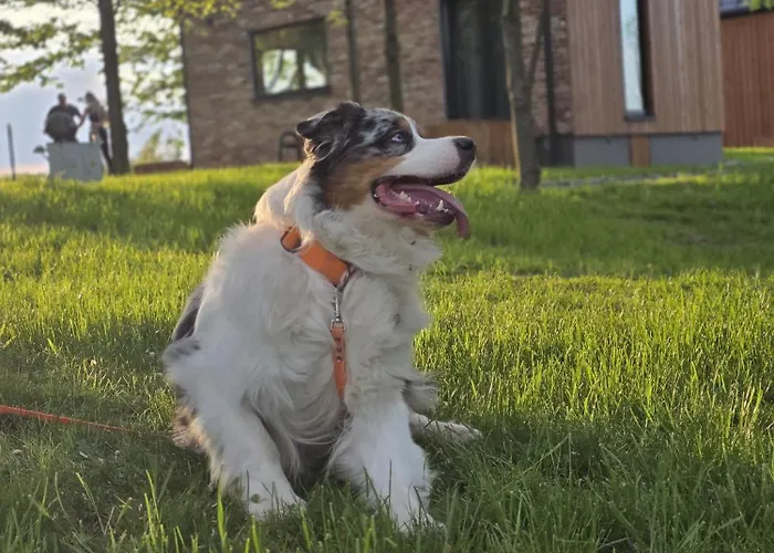 Grudza83 Bikepoint *